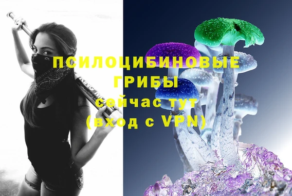 МДПВ Медногорск