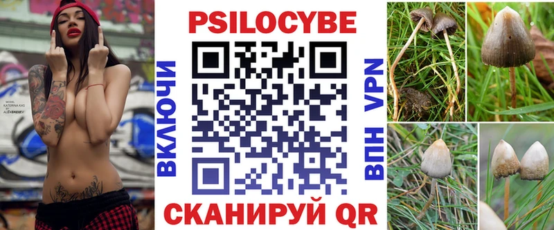 Галлюциногенные грибы Psilocybe  купить наркоту  Междуреченск 